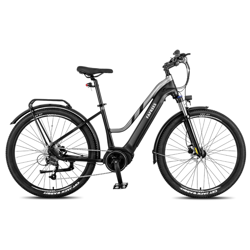 Fafrees FM8 Electric Bike