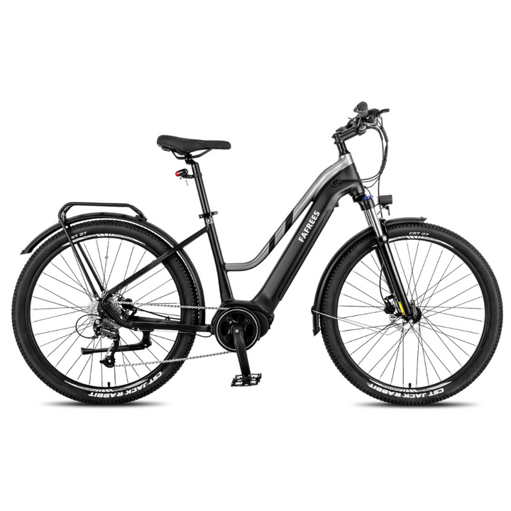 Fafrees FM8 Electric Bike