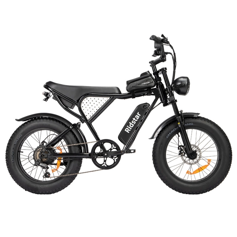Ridstar Q20 Electric Bike