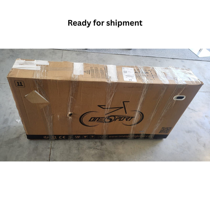ONESPORT OT18 ELECTRIC BIKE (REFURBISHED)