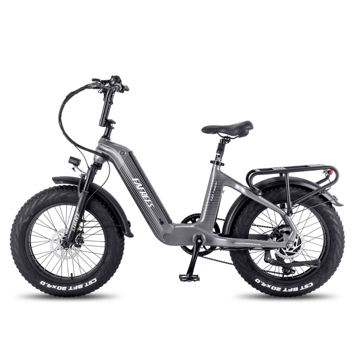 Fafrees F20 Master Electric Bike