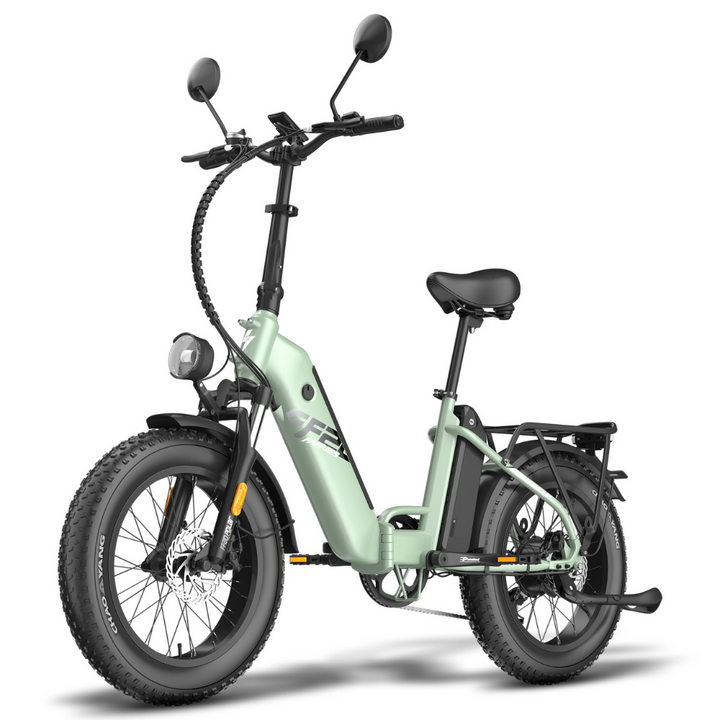 FAFREES FF20 Polar Electric Bike