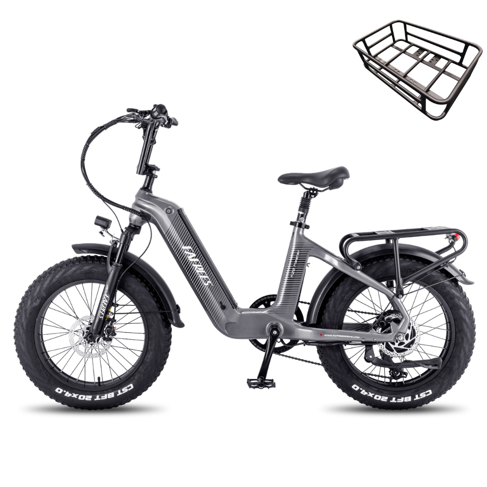 Fafrees F20 Master Electric Bike