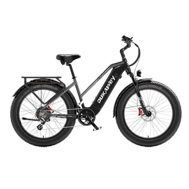LankeLeisi Dukawey DM530 Plus elektrische fiets 