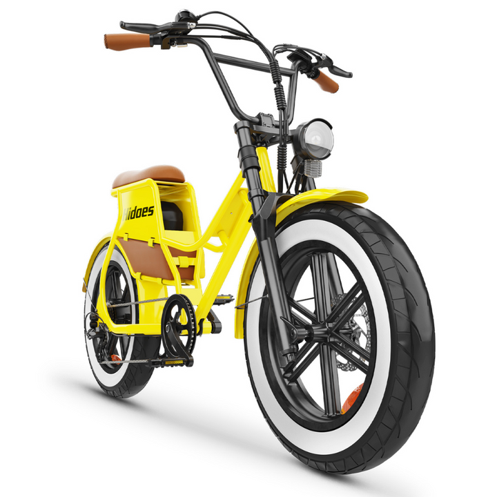 HIDOES C8 Electric Bike