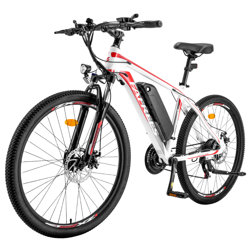 Fafrees Hailong One Electric Bike