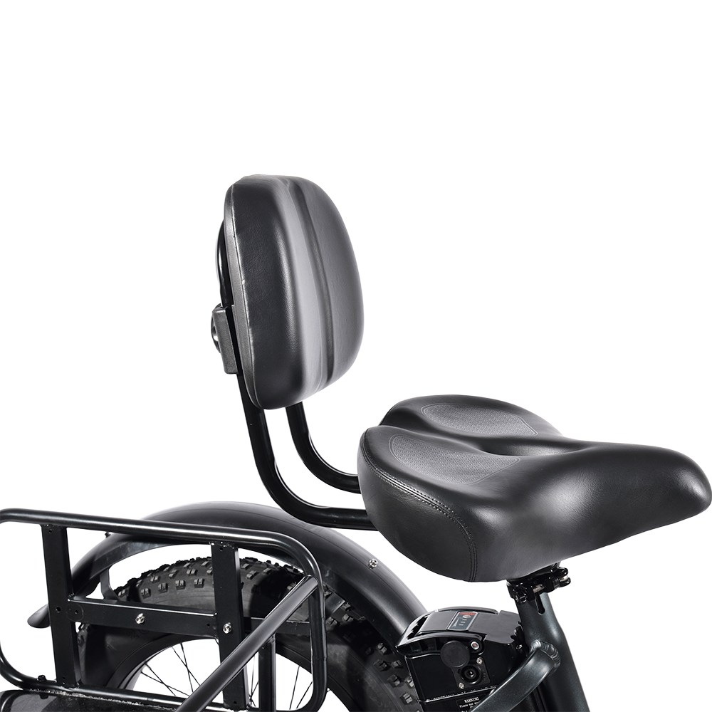 PULUMA SL001 Electric Tricycle