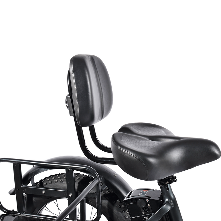 PULUMA SL001 Electric Tricycle