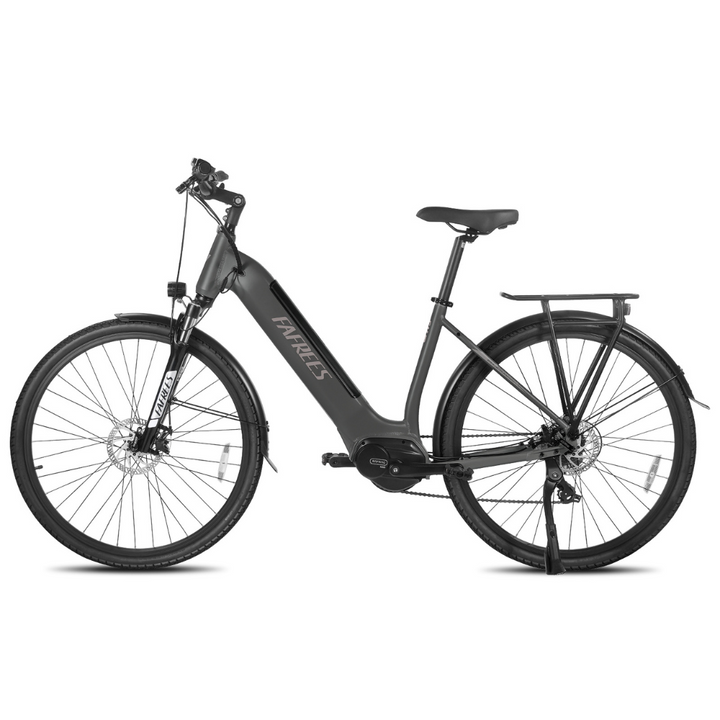 FAFREES FM9 Electric Bike