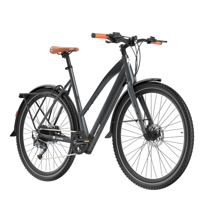 Fafrees F700W Electric Bike