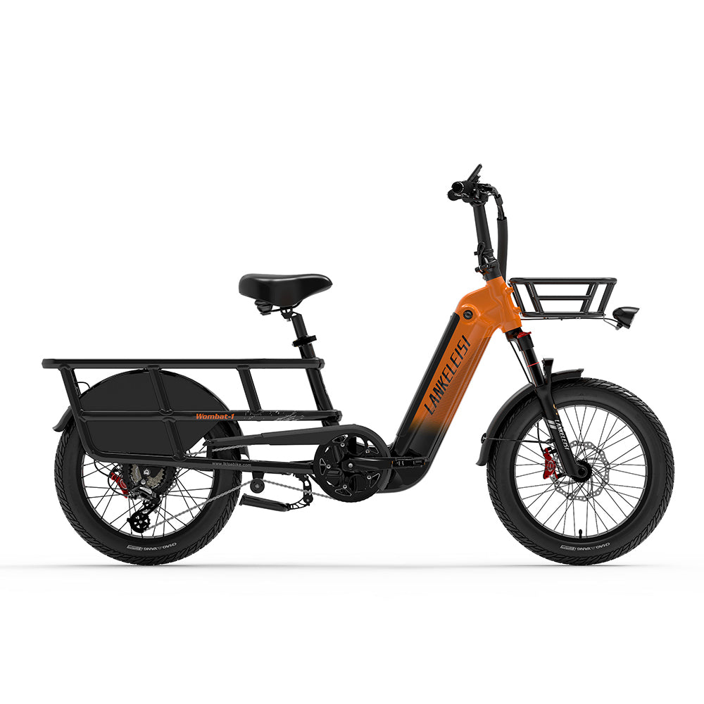 LankeLeisi Wombat-1 Electric Bike
