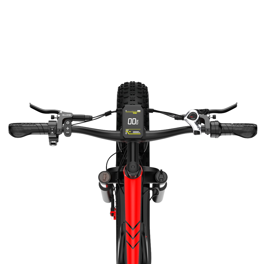 DUOTTS S26 Electric Bike