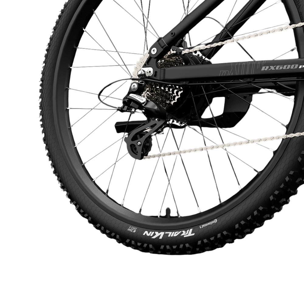 LankeLeisi RX600PRO Electric Bike