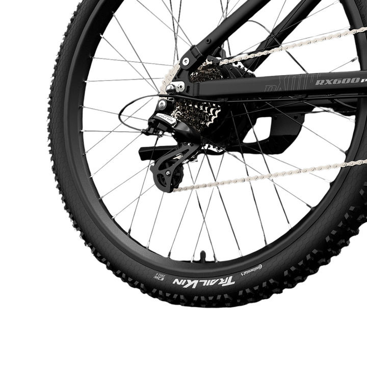 LankeLeisi RX600PRO Electric Bike