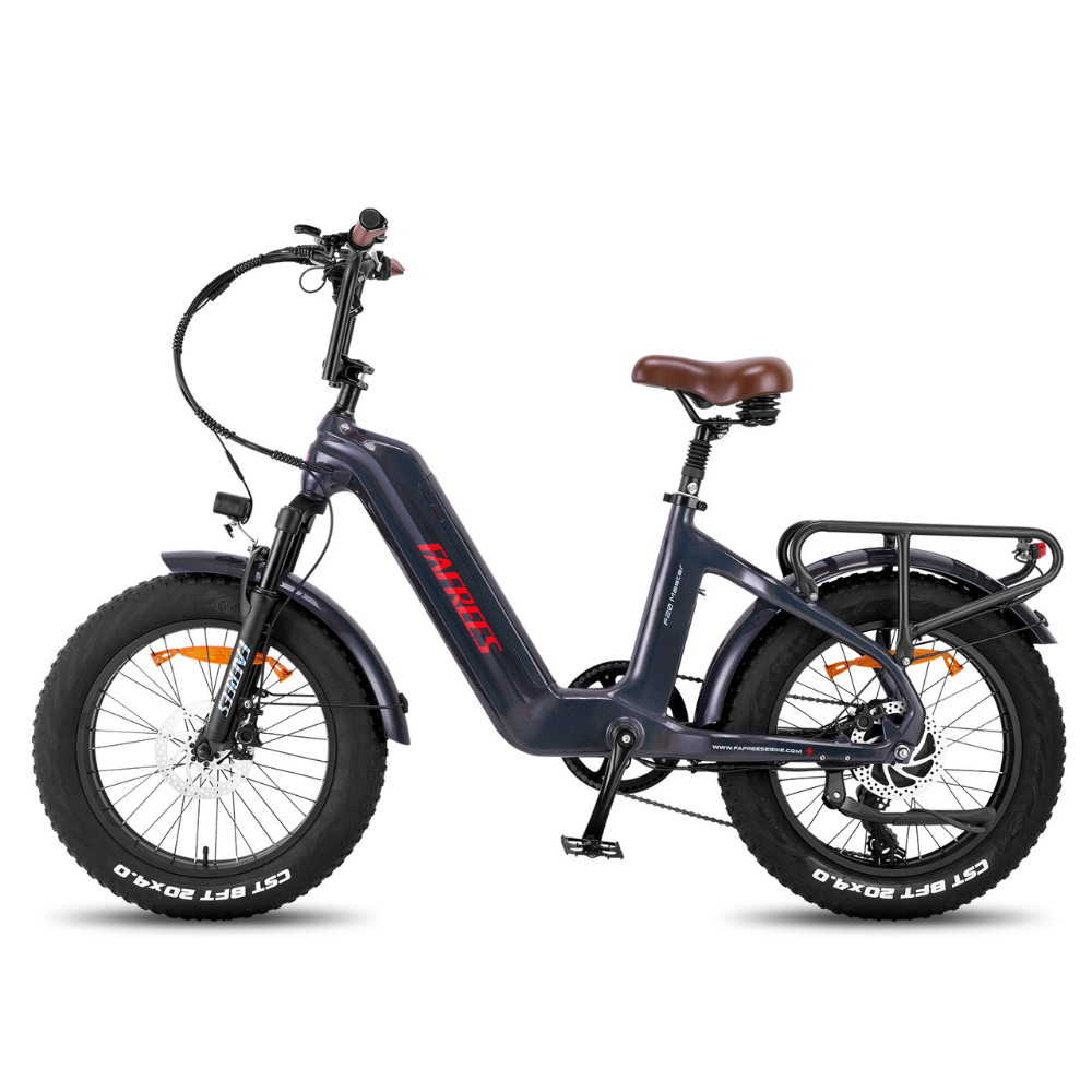 Fafrees F20 Master Electric Bike