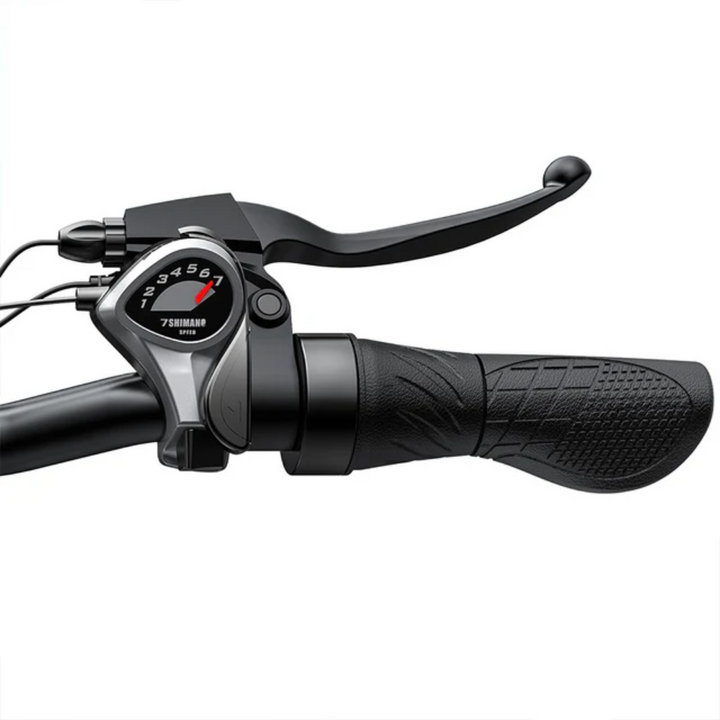 ENGWE E26 Electric Bike
