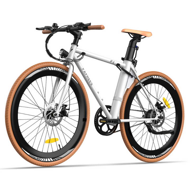 Fafrees F1 ELECTRIC BIKE