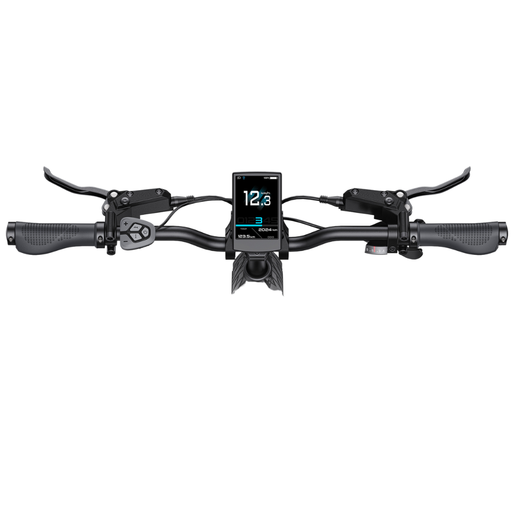 ENGWE  L20 3.0 Boost Electric Bike