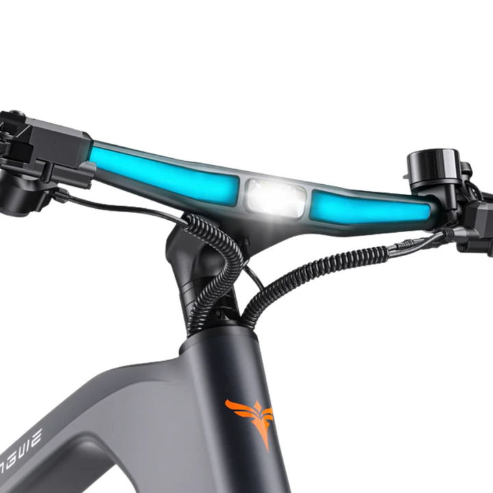 ENGWE N1 PRO Electric Bike