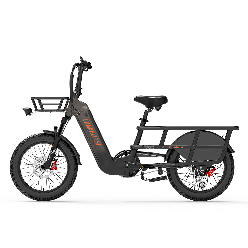 LankeLeisi Wombat-1 Electric Bike