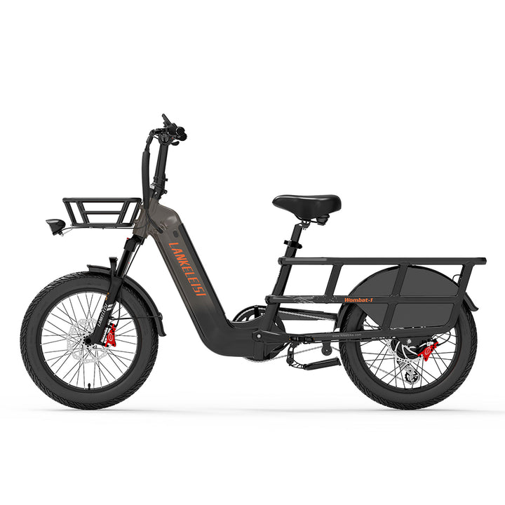 LankeLeisi Wombat-1 Electric Bike