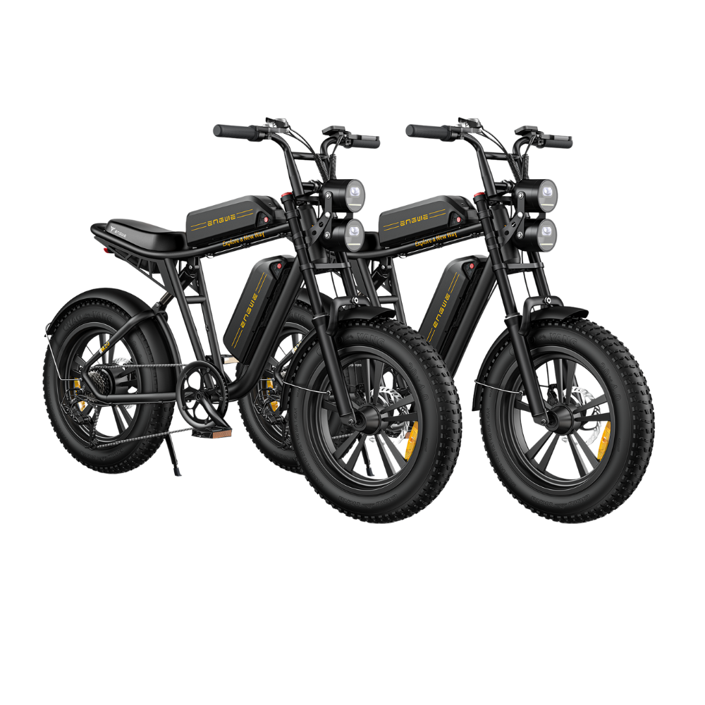 ENGWE M20 Electric Bike