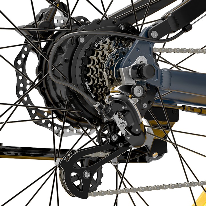 LankeLeisi RV700 Electric Bike
