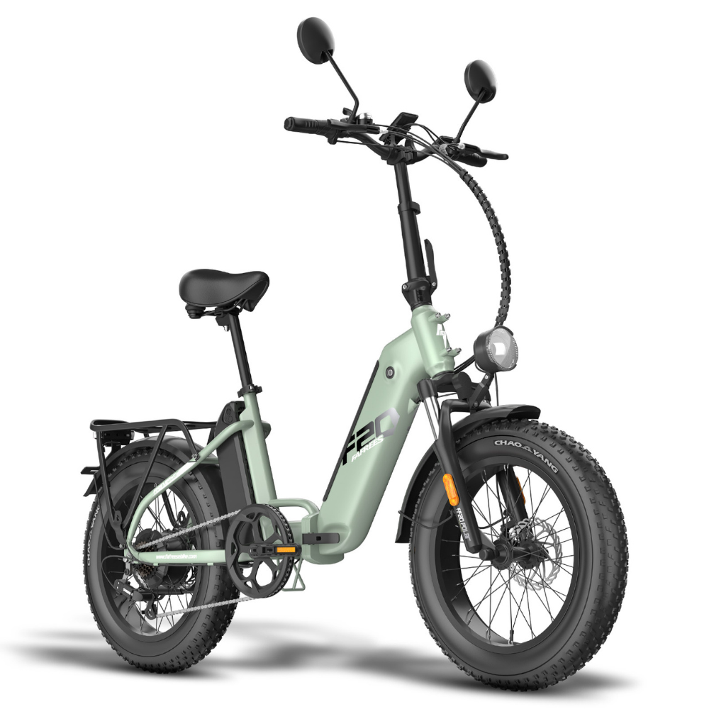 FAFREES FF20 Polar Electric Bike