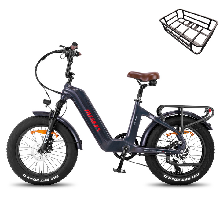Fafrees F20 Master Electric Bike