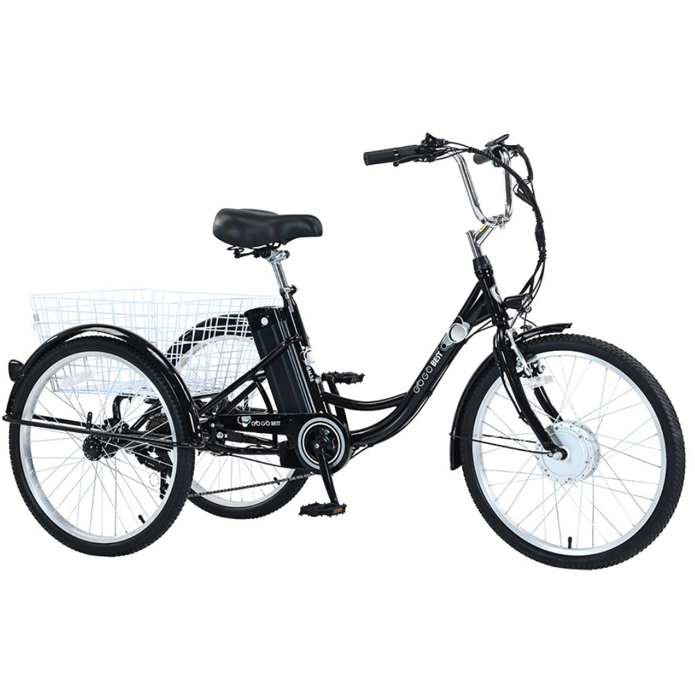 GOGOBEST GF100 Electric Tricycle