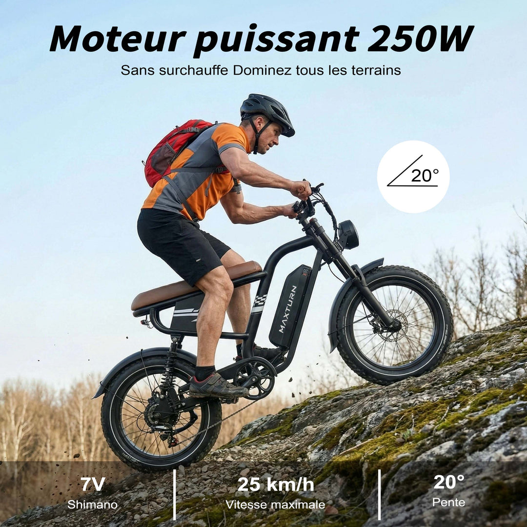 MAXTURN MX10 Electric Bike 48V 13Ah 500W Peak Motor Recommended Top Speed 25KM/H(45KM/H no limite) 20*4.0inch Tires 80-100KM Max Range 180KG Max Load Electric Bicycle
