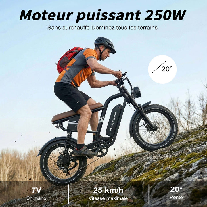 MAXTURN MX10 Electric Bike 48V 13Ah 500W Peak Motor Recommended Top Speed 25KM/H(45KM/H no limite) 20*4.0inch Tires 80-100KM Max Range 180KG Max Load Electric Bicycle