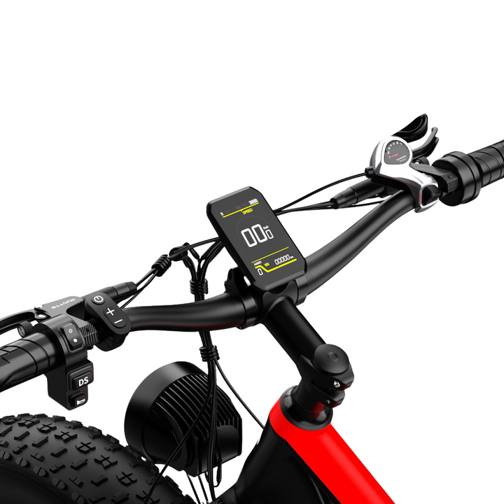 DUOTTS S26 Electric Bike