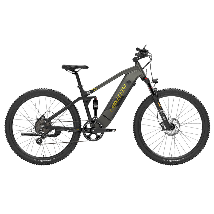 LankeLeisi RX600PRO Electric Bike