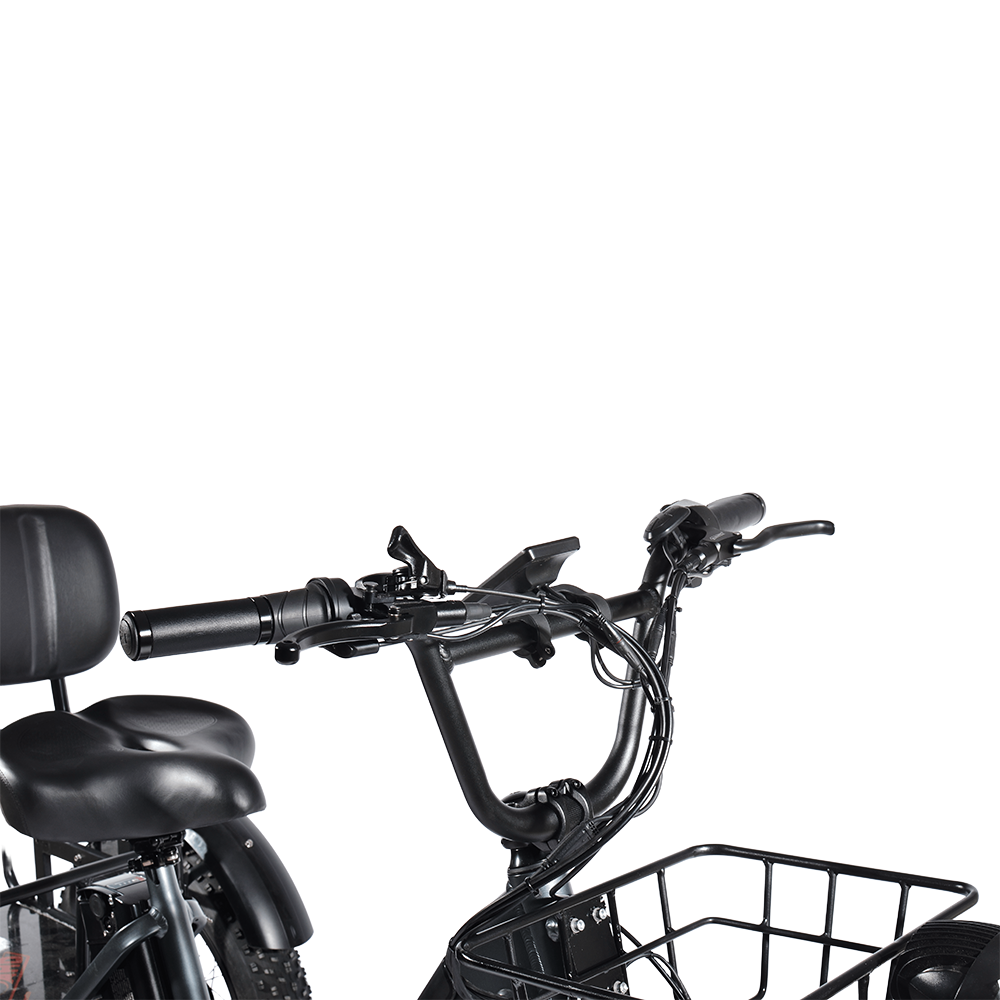 PULUMA SL001 Electric Tricycle