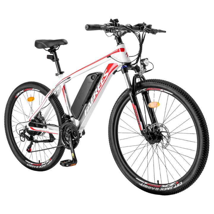 Fafrees Hailong One Electric Bike