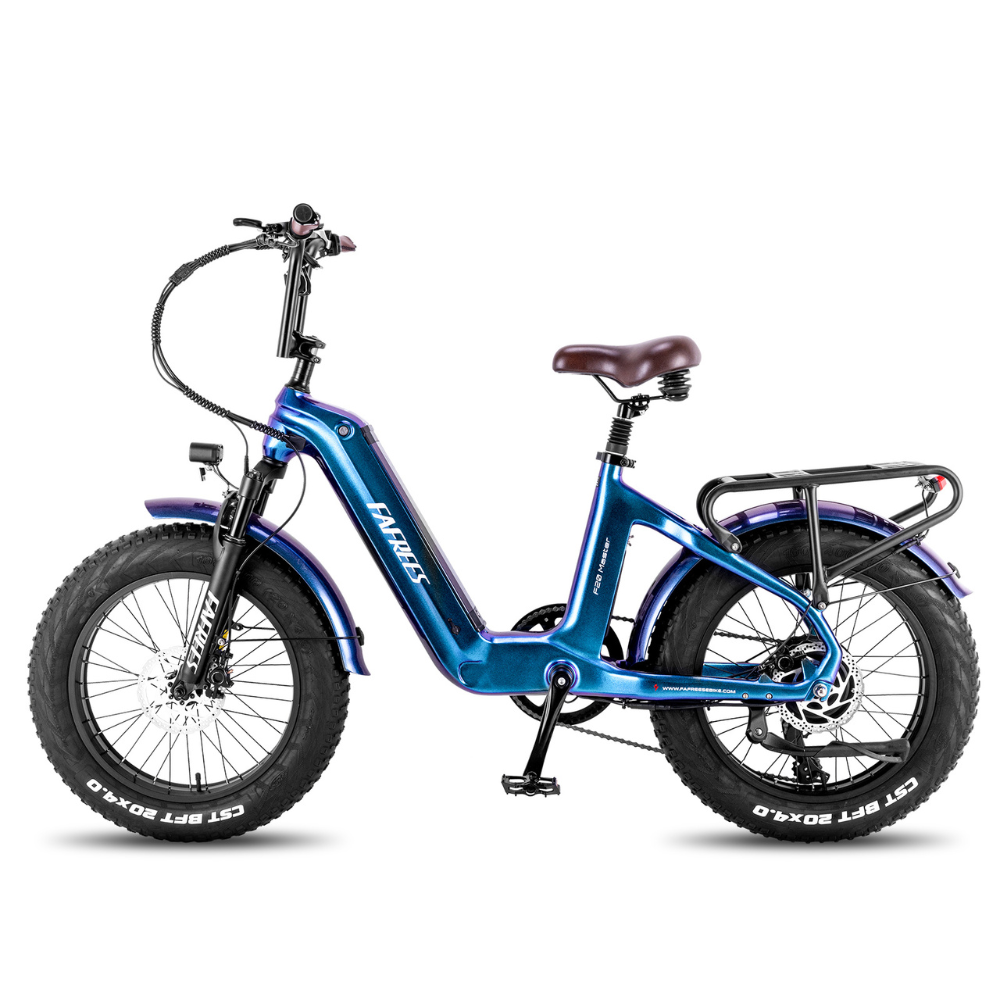 Fafrees F20 Master Electric Bike