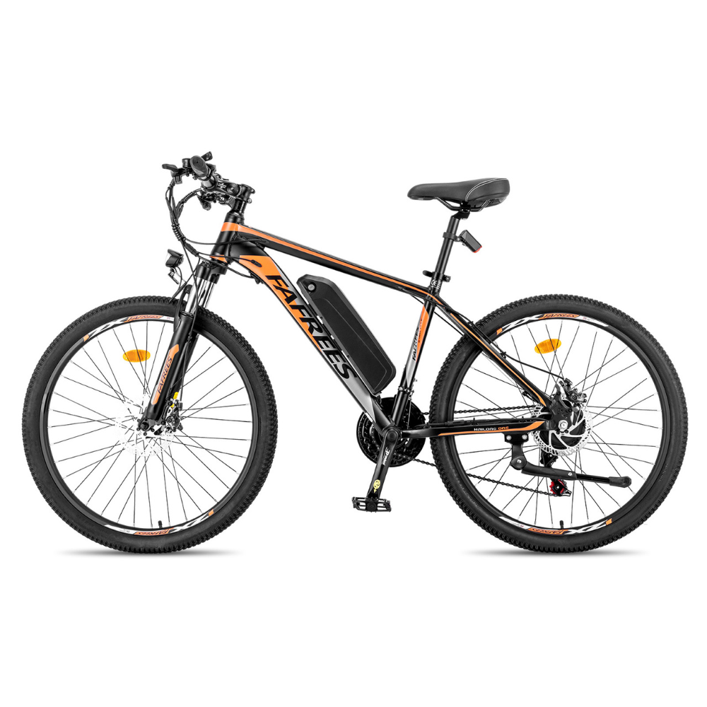 Fafrees Hailong One Electric Bike