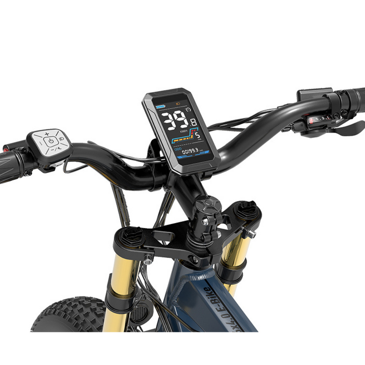LankeLeisi RV700 Electric Bike