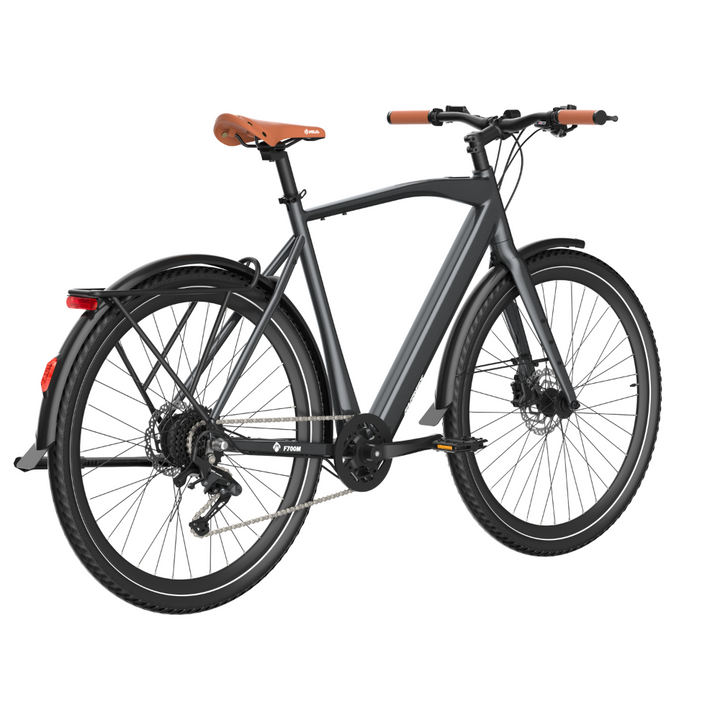 Fafrees F700M Electric Bike
