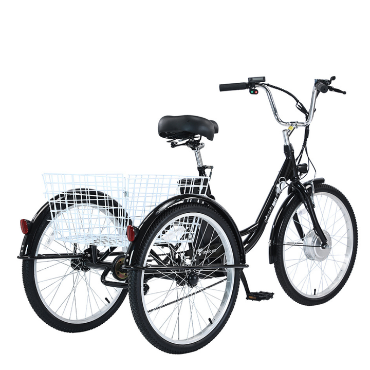 GOGOBEST GF100 Electric Tricycle