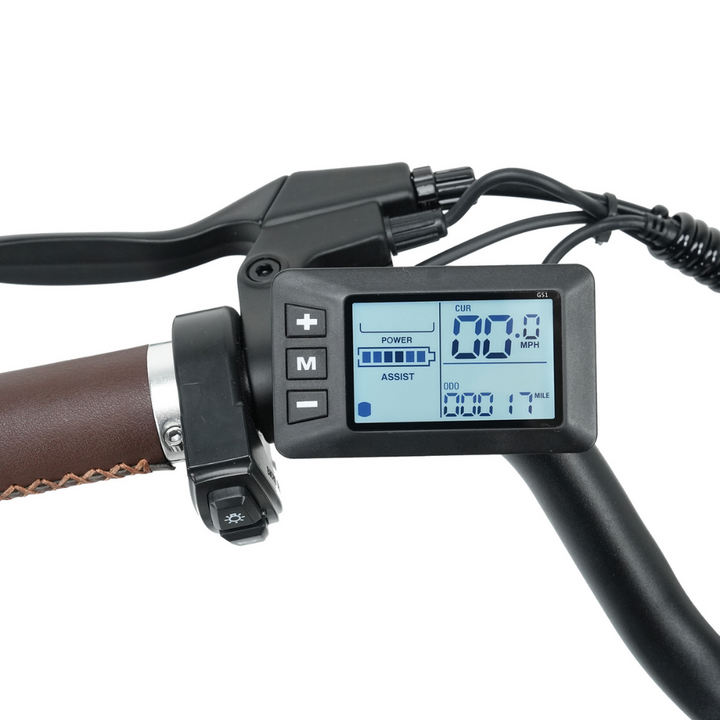 isinwheel U2 Electric Bike