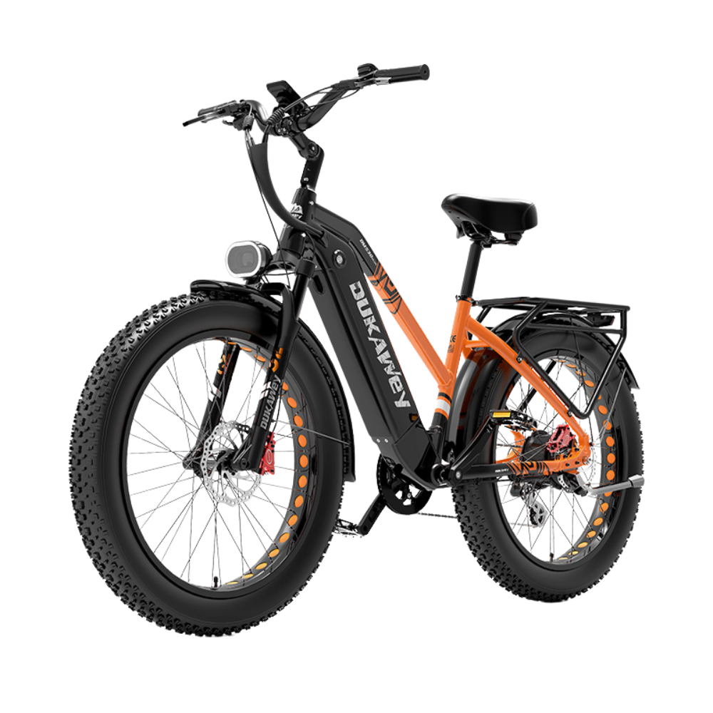 LankeLeisi Dukawey DM530 Plus elektrische fiets 
