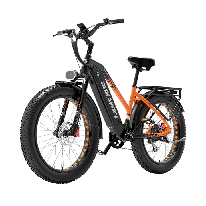 LankeLeisi Dukawey DM530 Plus elektrische fiets 