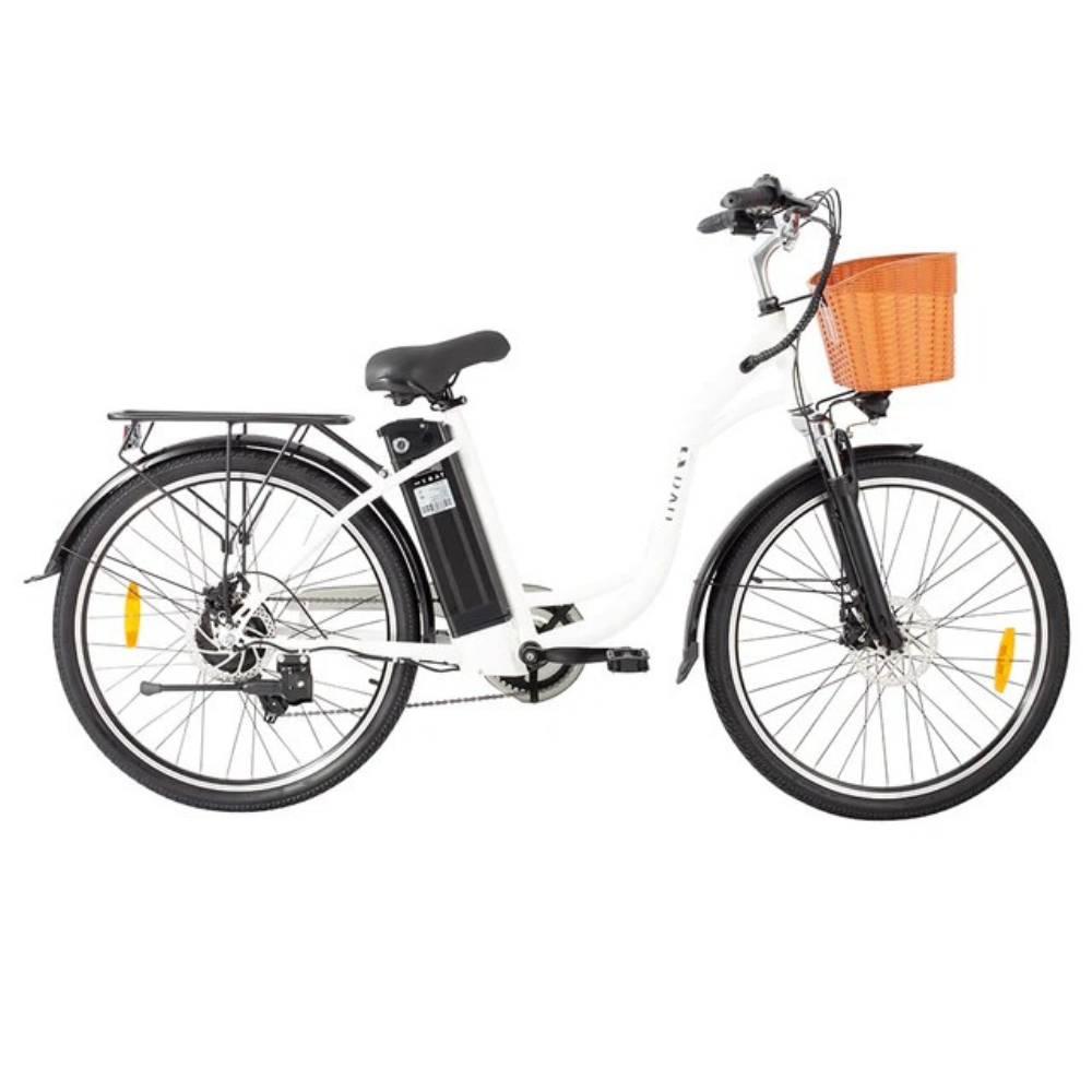 Dyu C6 ELECTRIC BIKE