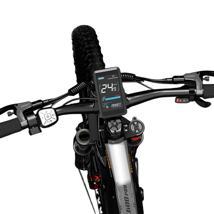 LankeLeisi MX600PRO Electric Bike