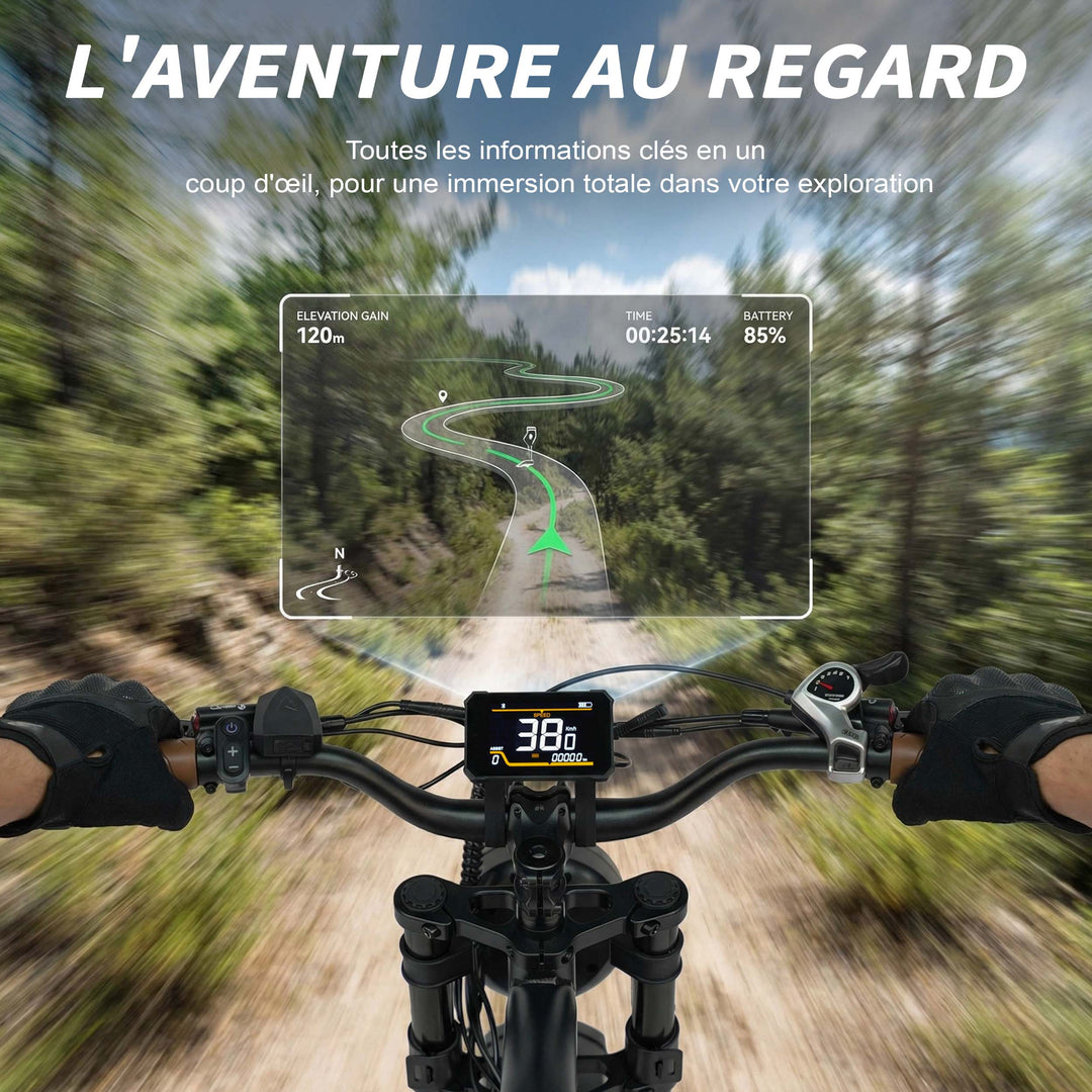 MAXTURN MX10 Electric Bike 48V 13Ah 500W Peak Motor Recommended Top Speed 25KM/H(45KM/H no limite) 20*4.0inch Tires 80-100KM Max Range 180KG Max Load Electric Bicycle