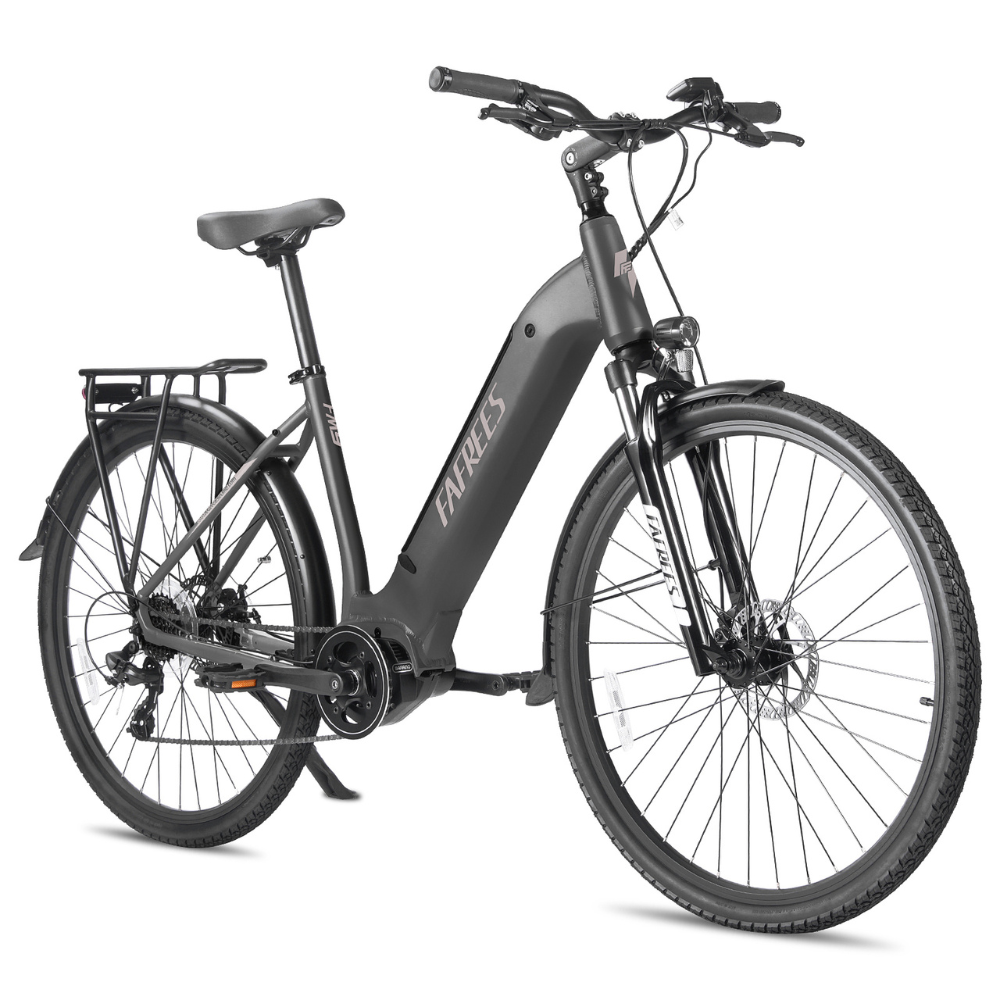 FAFREES FM9 Electric Bike
