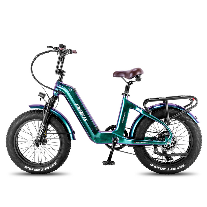 Fafrees F20 Master Electric Bike