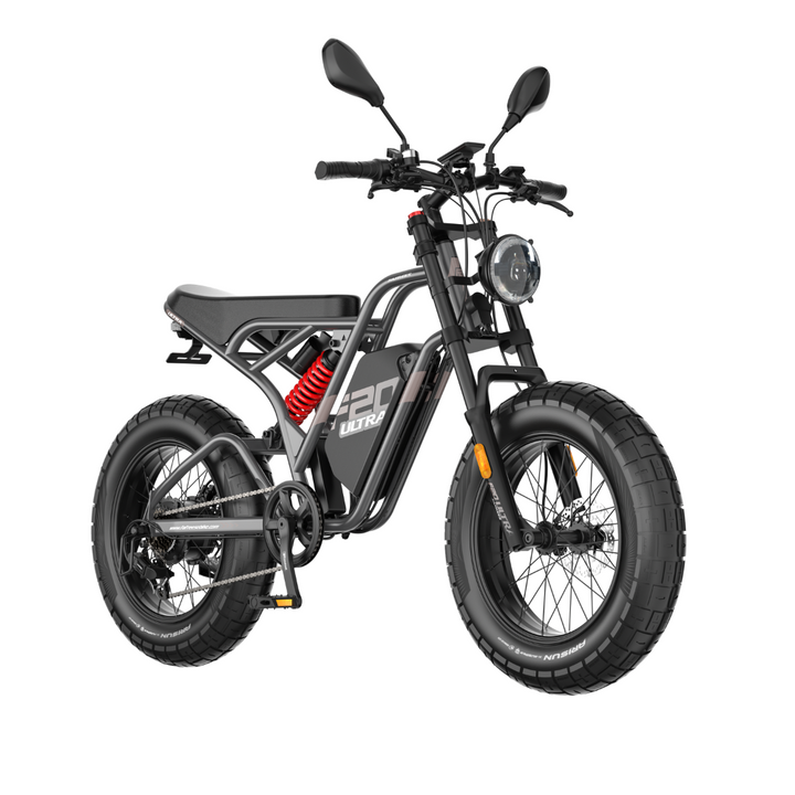 Fafrees F20 ULTRA Electric Bike